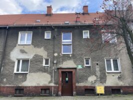 zwirki i wigury