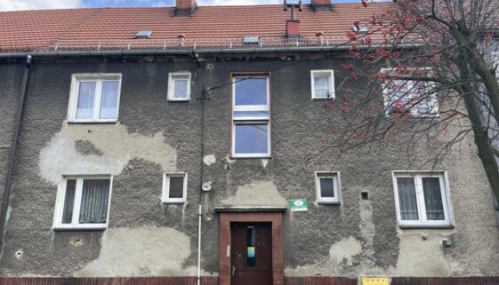 zwirki i wigury